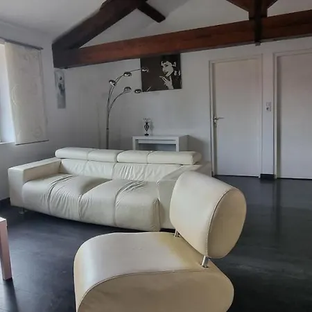 L'escapadou - Charme Et Tranquillite * アルビ