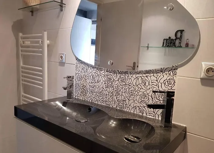 L'escapadou - Charme Et Tranquillite アルビ