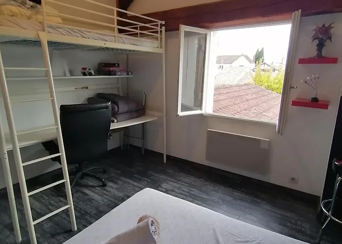 L'escapadou - Charme Et Tranquillite アルビ